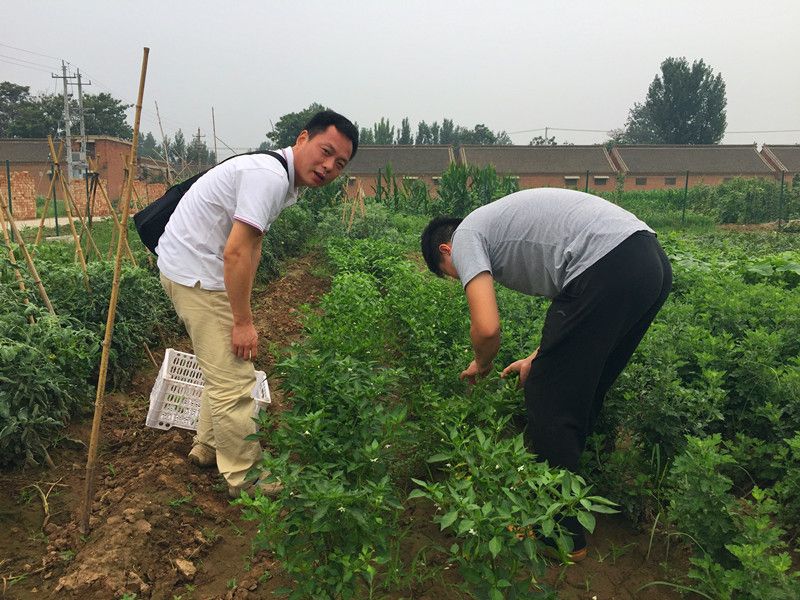 好利來郭總喊您來摘菜啦！綠色無公害，放心！